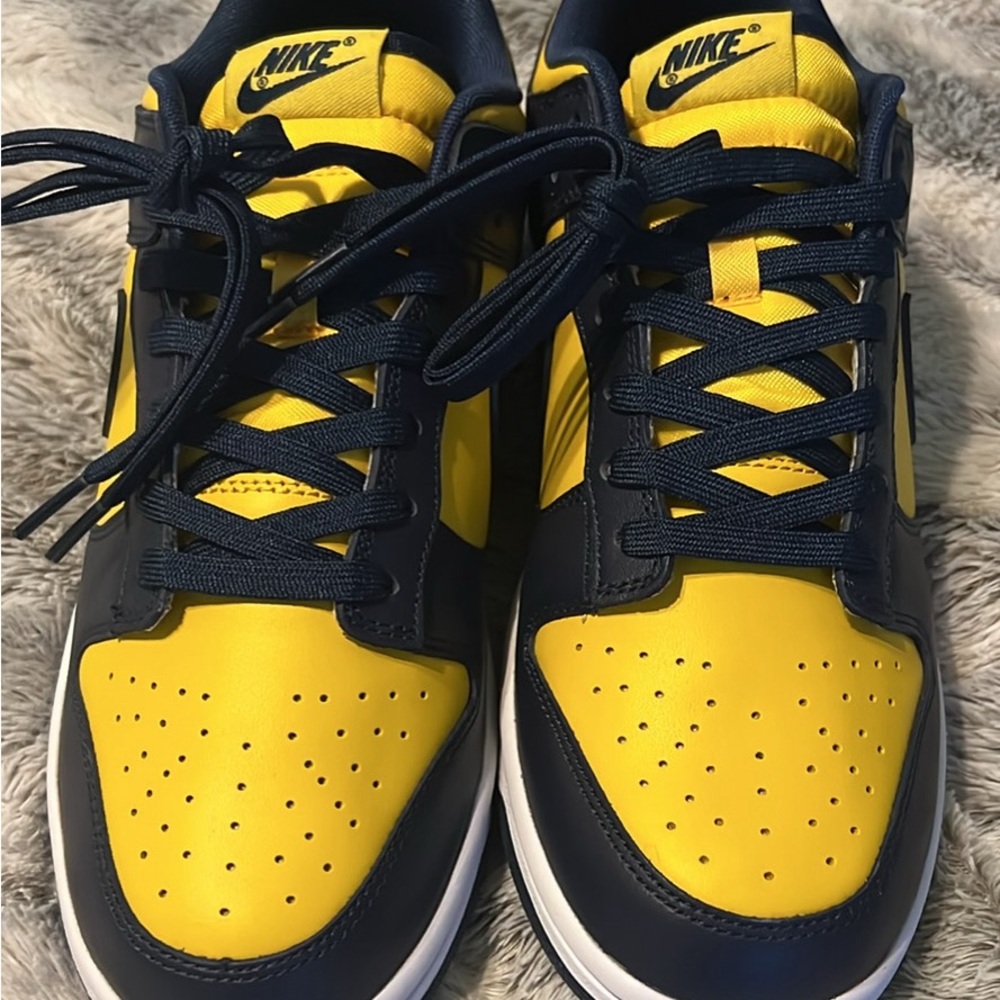 Michigan Dunks - image 5